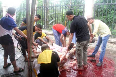 Ibadah Qurban 02